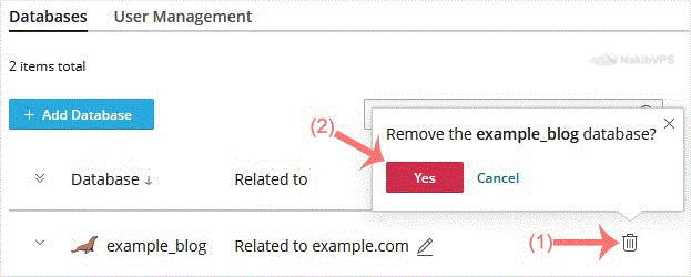 plesk-remove-database-final.gif