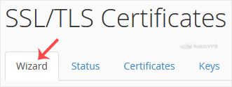 ssl-tls-status-runauto-ssl.gif